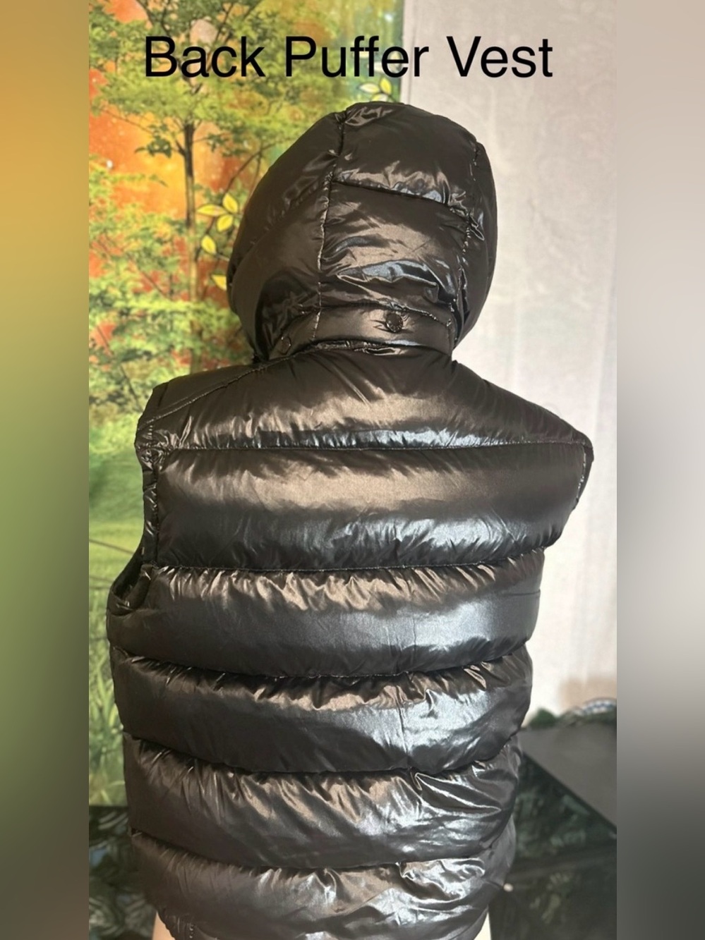 Moncler Bormes Authentic Shiny Black Puffer Hooded Vest | Size: 2 (SOLD) - Picture 3 of 15